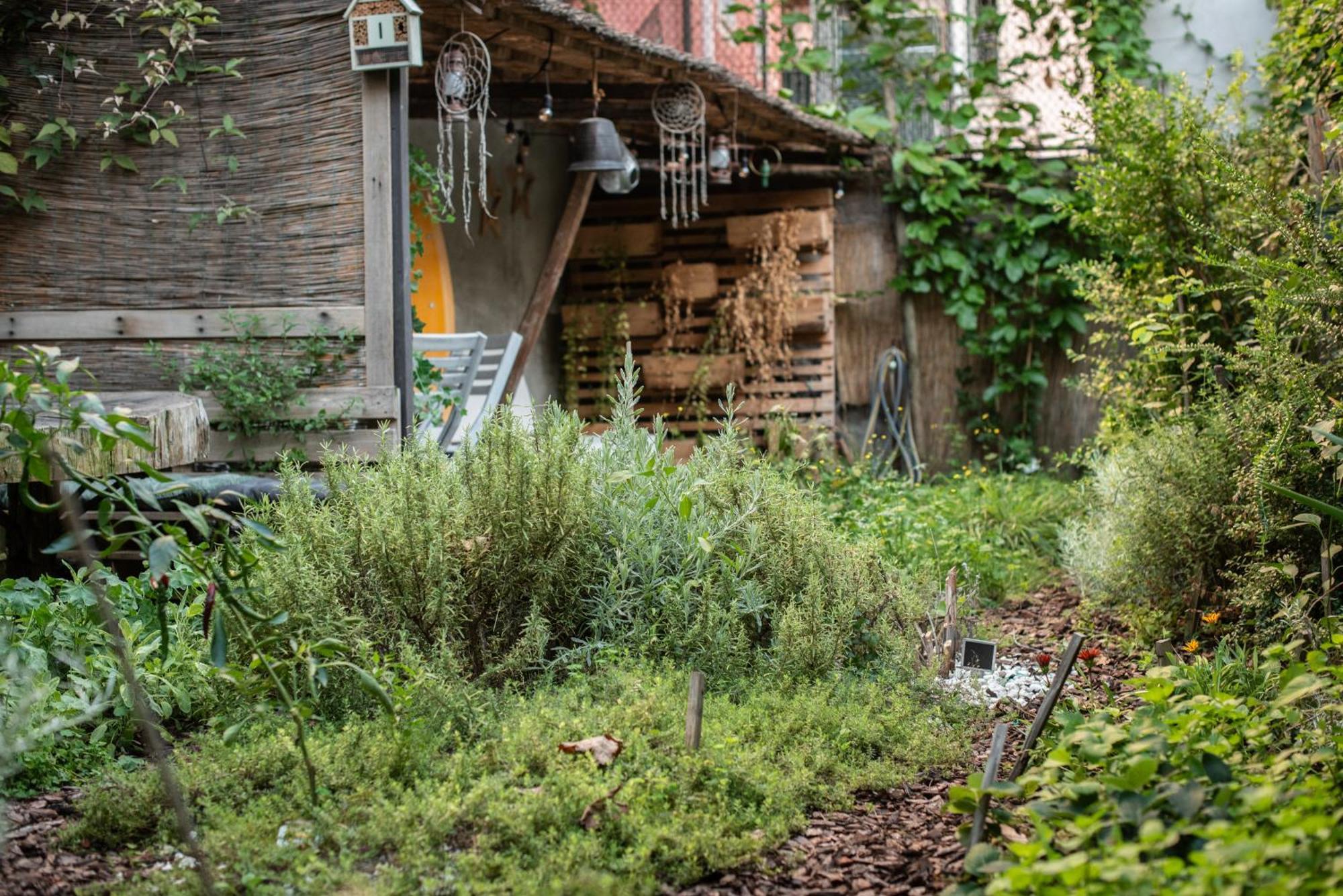 Casa Babbuino Guest house